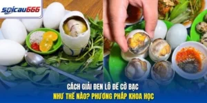 Cách Giải Đen Lô Đề Cờ Bạc Như Thế Nào? Phương Pháp Khoa Học