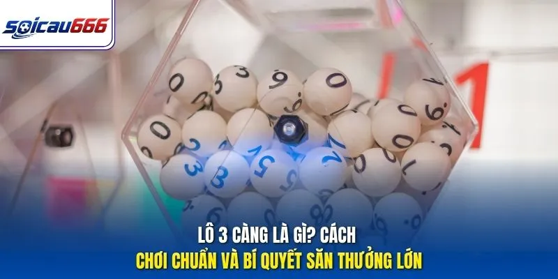 Lô 3 Càng Là Gì? Cách Chơi Chuẩn Và Bí Quyết Săn Thưởng Lớn